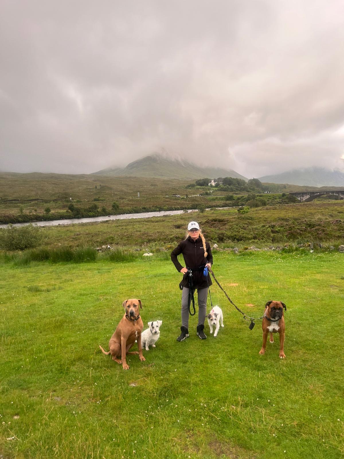 Handler with five dogs on leashes at People’s Park